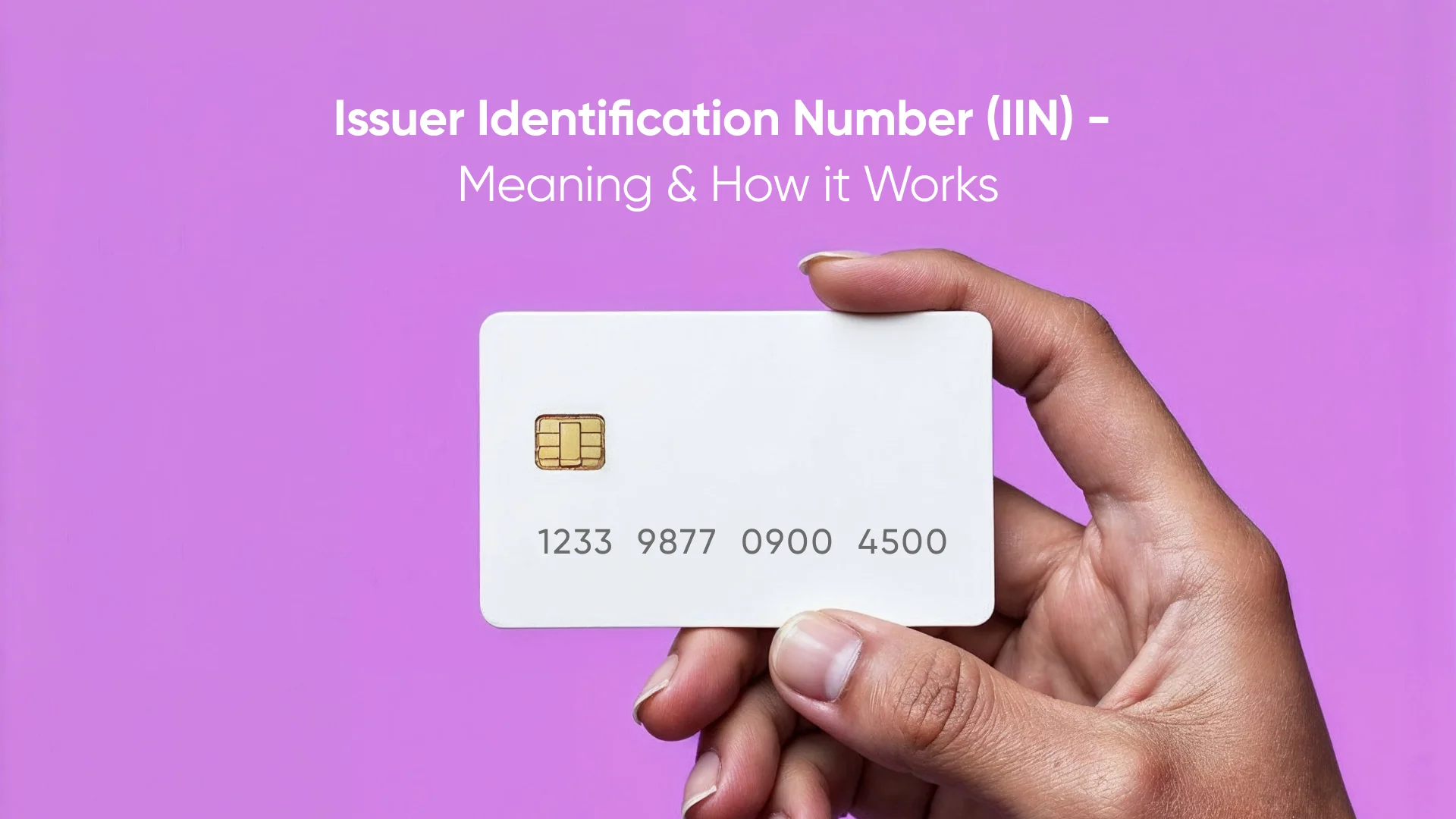 What is an Issuer Identification Number (IIN)?